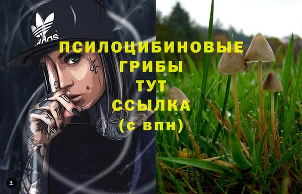 кокс Ельня