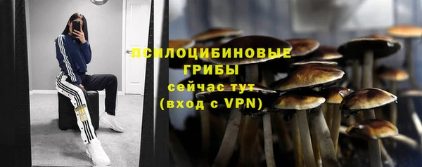 не бодяженный Елизово