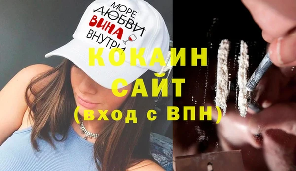 кокс Ельня