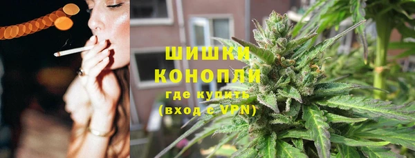 кокс Ельня