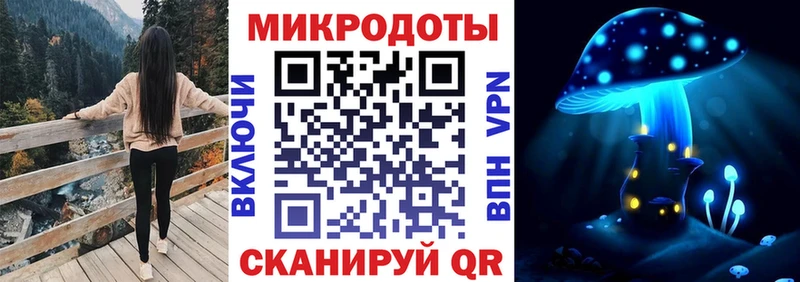 Купить  Ипатово  Галлюциногенные грибы MAGIC MUSHROOMS 